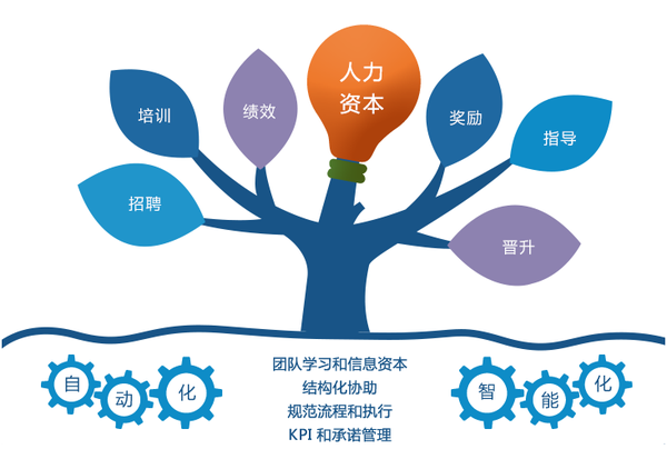 設計人力資源系統需要考量因素是什么? 幫助你整理